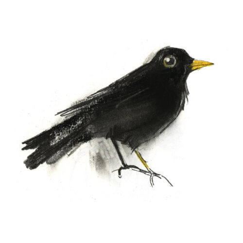 Mercurio - Scheda del personaggio